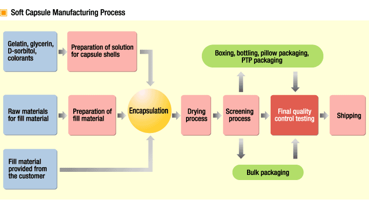 Soft Capsule Manufacturing Process